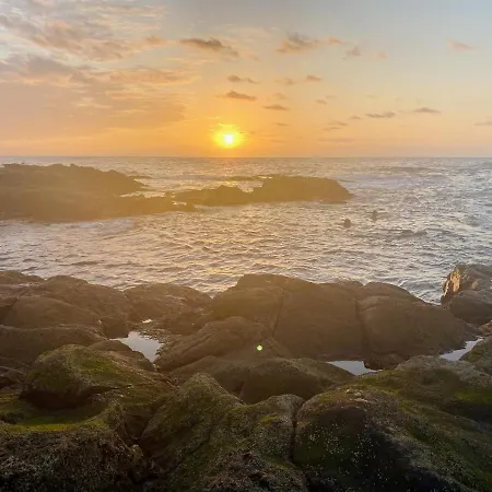 El Estudio De Jessica