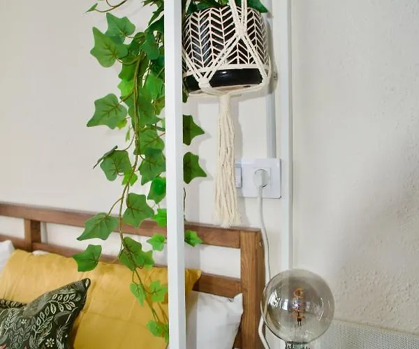 Apartamento El Estudio De Jessica La Laguna (Tenerife)